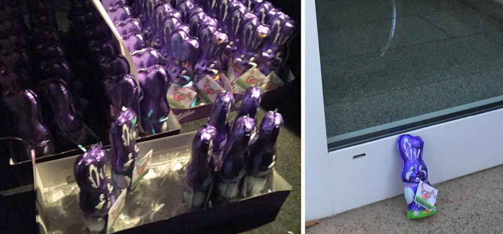 100 Osterhasen fanden ein neues Zuhause